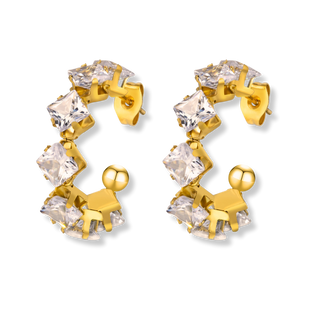 Glam Earrings