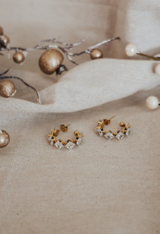 Glam Earrings