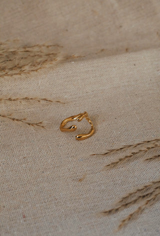 Gina Ring